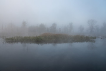 Autumn misty landscape on the river in the morning. Reeds and trees.