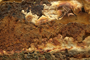 Rusty metal abstract texture