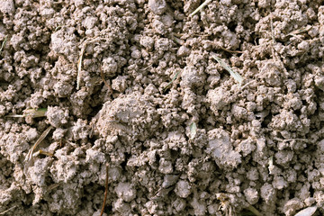 Soil texture background