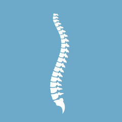 Strong healthy spinal cord vector icon - obrazy, fototapety, plakaty