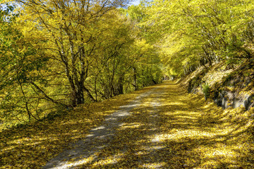 Goldener Oktober in der Eifel
