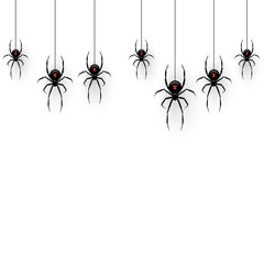 Black spiders hanging on a web isolated on white background. Vector design element.
