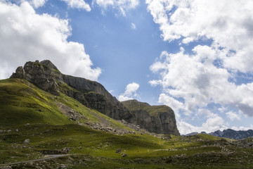 Beautiful landscape in Montenegro with fresh grass and beautiful peaks. Durmitor National Park in Montenegro part of Dinaric Alps. 