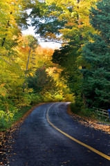 Beautiful Curved Country Road in Autumn