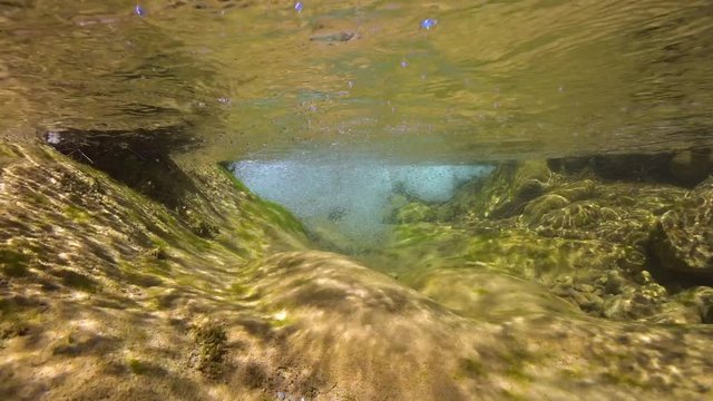Flowing water of a rocky river, underwater scene, La Muga, Girona, Alt Emporda, Catalonia, Spain