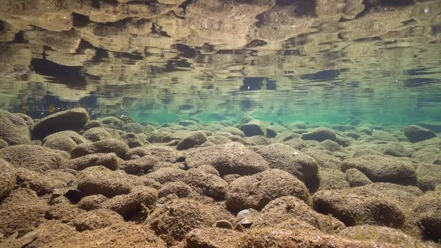 Rocks in shallow water on the riverbed reflected in the water surface, underwater scene, La Muga, Girona, Alt Emporda, Catalonia, Spain