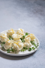 Cheese wrap stuffed with cream cheese, garlic and herbs