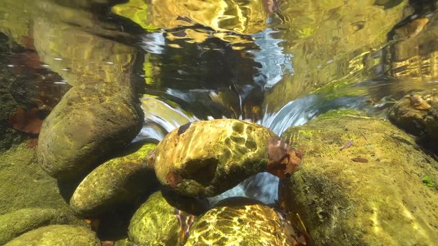 Underwater rocks below water surface in a flowing stream, La Muga river, Girona, Alt Emporda, Catalonia, Spain