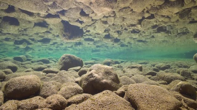 Underwater rocky riverbed in shallow water reflected in the calm water surface, La Muga, Girona, Alt Emporda, Catalonia, Spain