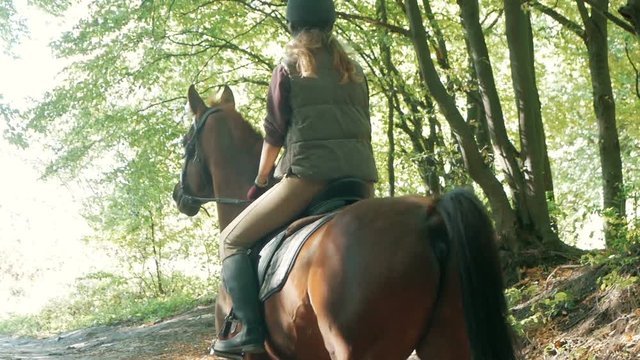 Young pretty girl riding a horse