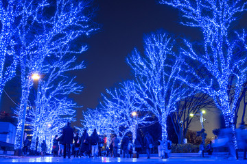 Naklejka premium Winter illumination at Yoyogi Park in Tokyo 青の洞窟