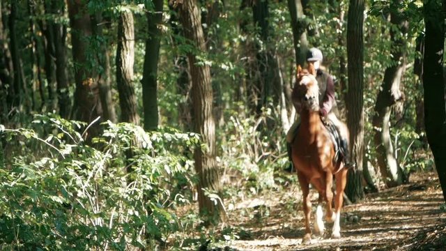 Young pretty girl riding a horse