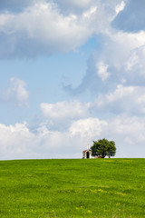 Lonely chapel and a tree in a green field, Dragoman Municipality, Sofia Province, Bulgaria