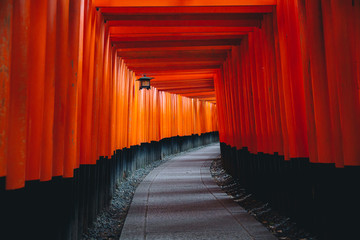 Pathway orii gates at Fushimi Inari Shrine at night and rain Kyoto, Japan.