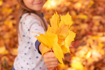 Cute baby in the autumn forest.