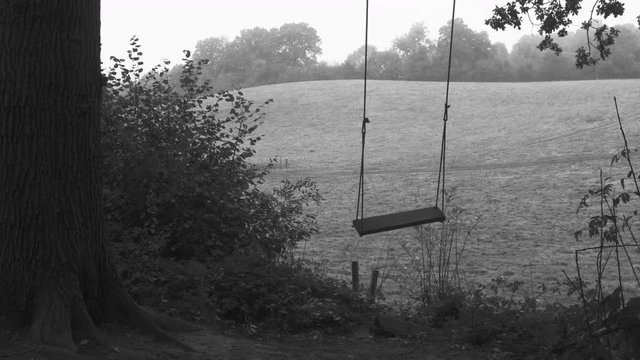 An empty swing hanging from a tree in the countryside, swaying with nobody around. BLACK AND WHITE, SLOW MOTION DOLLY SHOT.