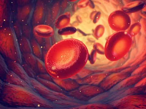 Red blood cells carry oxygen to all body tissues, Blood transfusion and donation
