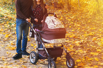 family walks in the Park with a stroller
