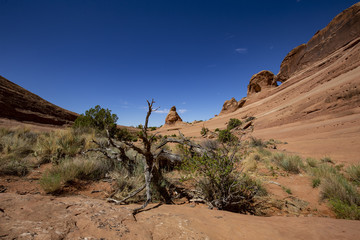 Arches National Park 05