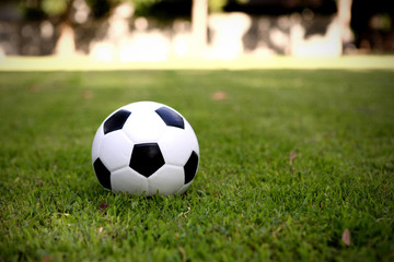 Obraz premium Soccer ball on grass