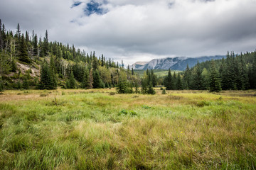 Lovely meadow and trail in the Bankhead ghost town near Banff Canada, in Banff National Park on an overcast summer day