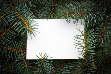 Christmas frame on the background of the Christmas tree, New Year theme.