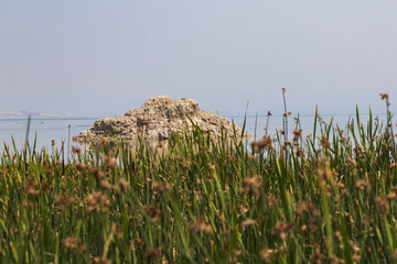 mono lake california