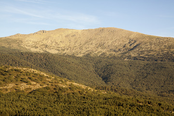 Village of Valsain, known for its wood. Donkey grazing, typical houses and peak of Peñalara. In Sierra de Guadarrama National Park, Segovia, Spain