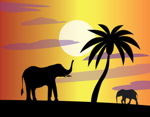 Flat vector illustration with palm tree and elephants. Black silhouette of elephants and palm trees at sunset for design. Icon with Africa. - 227689824