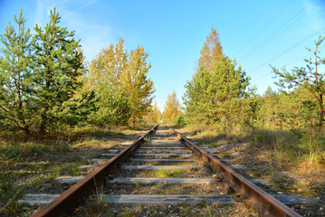 Plot of abandoned railway in the middle of the forest