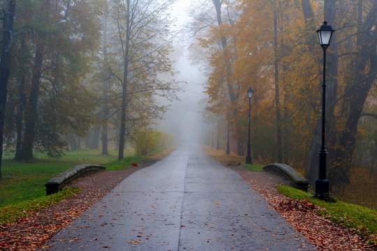 Morning autumn fog in Alexander park in Tsarskoe Selo (Pushkin), St. Petersburg, Russia