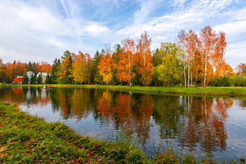 Autumn foliage in Pavlovsky park, Pavlovsk, St. Petersburg, Russia