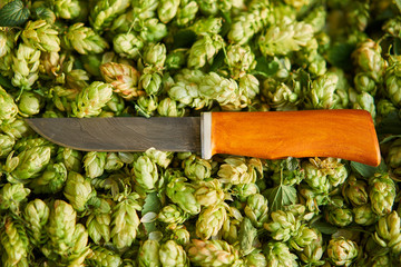 Hand made or custom made knife with blade from damascus steel on the green background consist from...