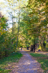 Naklejka premium City park in the sunny day in the autumn season