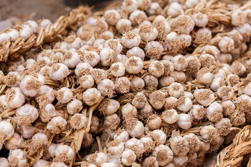 Garlic, captured at Kashgar (Xinjiang, China)