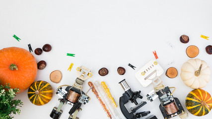 Happy halloween at STEM education school. Flat lay. Metal Robot and pumpkin all around. Free spase for text.