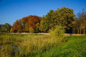 City park in the sunny day in the autumn season