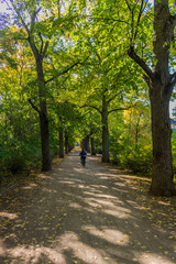 Altweibersommer in der Erfurter Innenstadt