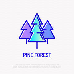 Pine forest thin line icon. Modern vector illustration.