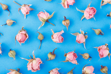 Background made from different rose blossoms on the blue base