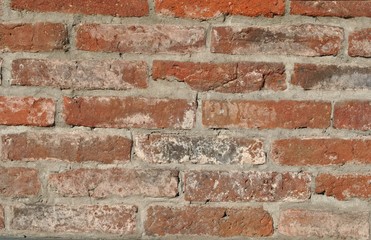 Fototapeta premium Mur ze starych cegieł