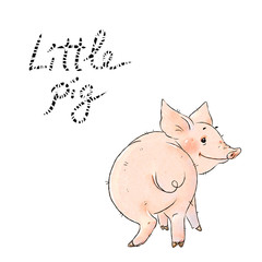 Hand drawn naughty pig. Cute funny piglet isolated on white background. Pig Chinese zodiac symbol of the year.