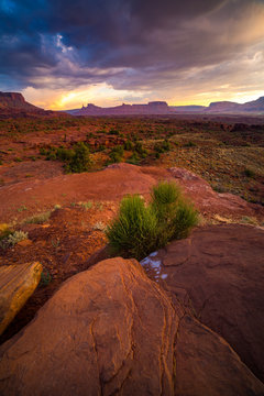 Utah desert Landscapes