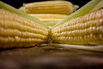 Fresh organic raw corn on wooden table