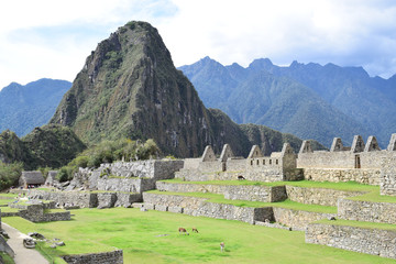 Ciuddadela de Machupoicchu Cusco Perú