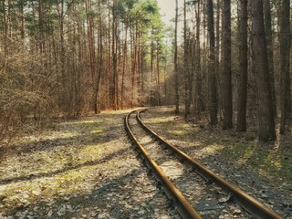 Fototapeta premium railway in the forest