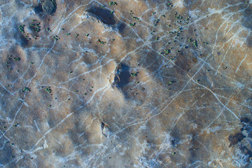 Solid stone's texture scrapes and scattered seeds