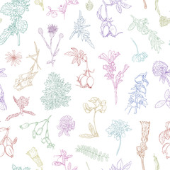 Wildflowers berries seamless pattern Hand drawn vector botanical illustration Background dogrose, burdock, herbs