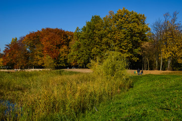 City park in the sunny day in the autumn season