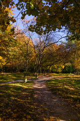 City park in the sunny day in the autumn season